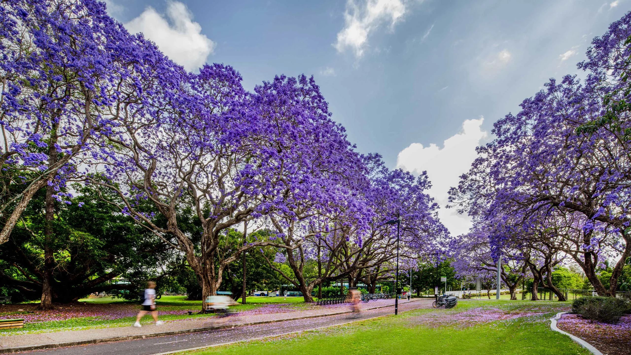 UQ 호수 (UQ Lakes)
